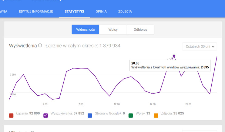 Wizytówka Google Moja Firma - Statystyki, wybrany dzień