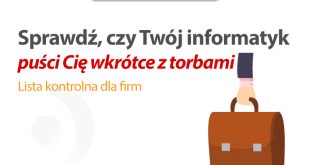 Rola informatyka w firmie